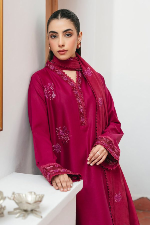 Carnation - Image 8