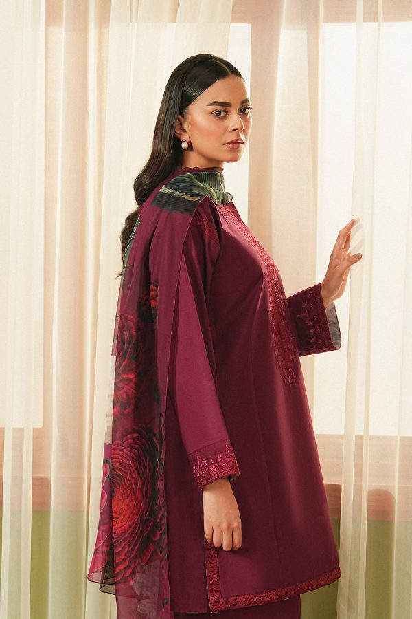 Plum - Image 5