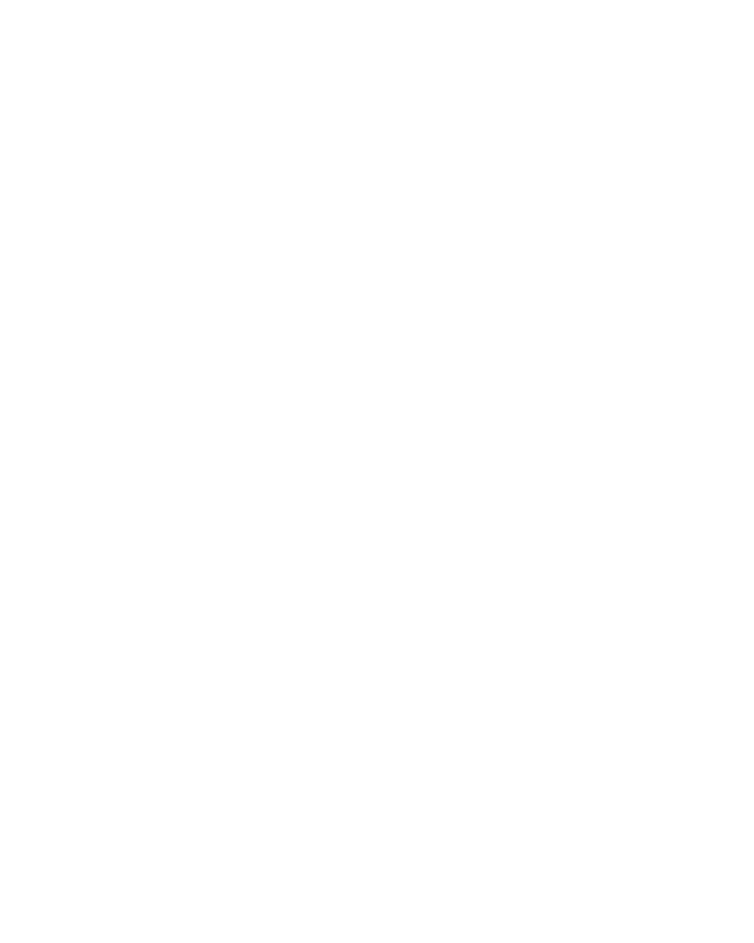 Aliza Hussain